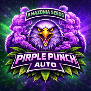 Purple Punch Auto – Semente Amazonia Seeds