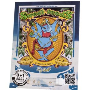 big-foot-da-sweet-seeds