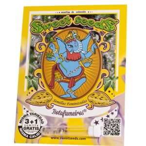 botafumeiros-sementes-feminizadas-e-automaticas