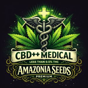 🧬 CBD++ Medical – Semente Amazonia Seeds