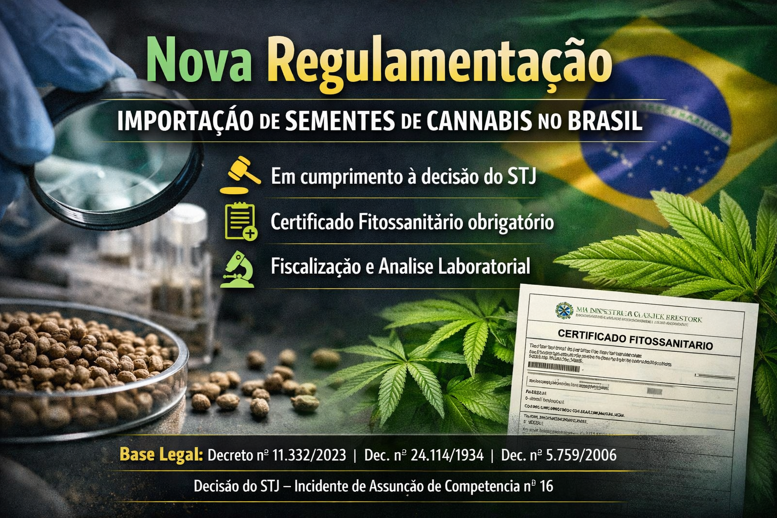 Importação de Sementes de Cannabis no Brasil: Nova Regulamentação MAPA