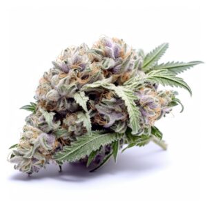 Sementes de Cannabis de Mirtilo