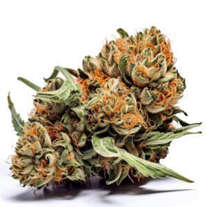 Sementes de Maconha Gelato 41