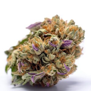Sementes de Maconha Purple Kush