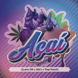 Açaí Fast Flowers – Fotoperíodo Feminizada