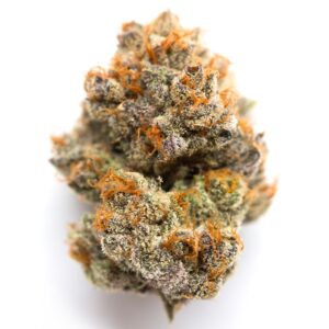 milgrows-white-widow-a-rainha-dos-hibridos