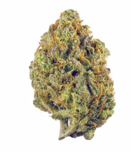 Tropical Punch - Explosão de sabor