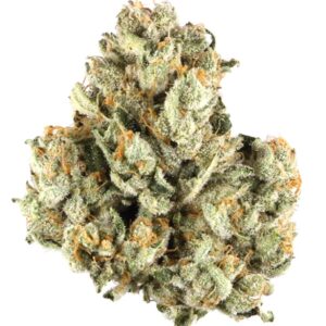 auto-og-kush-sementes-de-cannabis