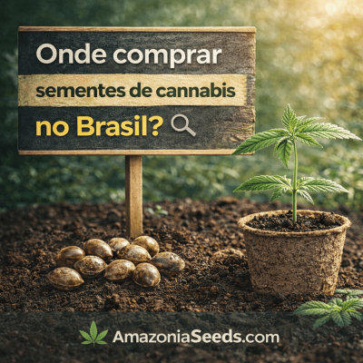 Onde comprar sementes de cannabis no Brasil?