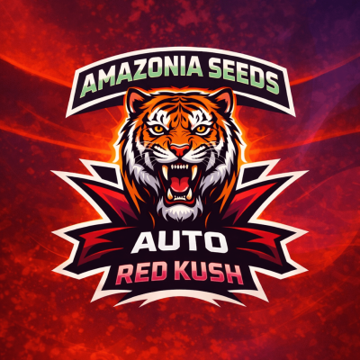 Red Kush Auto