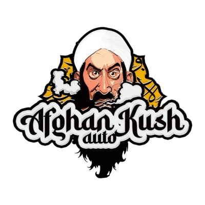 Afghan Kush Auto – Fast Buds