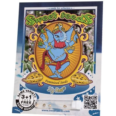 Big Foot® da Sweet Seeds