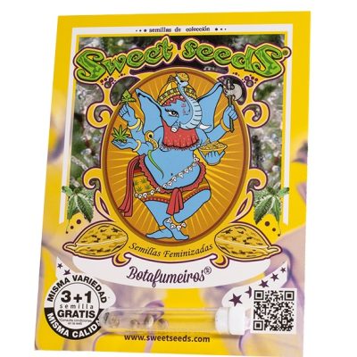 Botafumeiros – Sementes Feminizadas e Automáticas